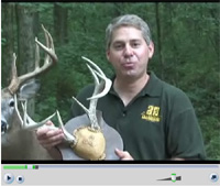 Deer Antler Mount Video
